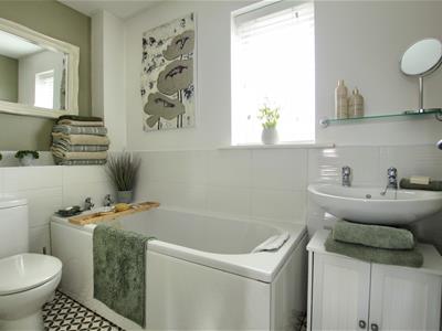 Picture 15